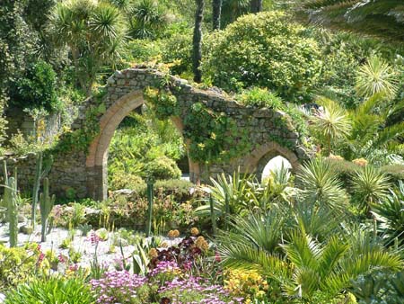 Tresco Abbey Gardens